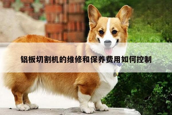 铝板切割机的维修和保养费用如何控制【ayx爱游戏】