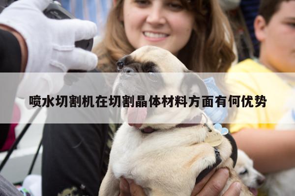 喷水切割机在切割晶体材料方面有何优势_爱游戏平台