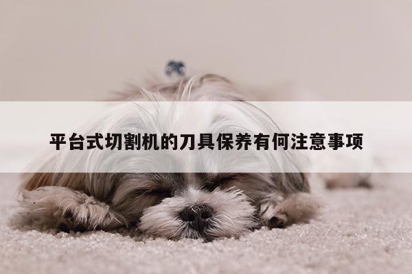 爱游戏平台_平台式切割机的刀具保养有何注意事项