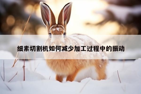 爱游戏(ayx)官方网站_细素切割机如何减少加工过程中的振动