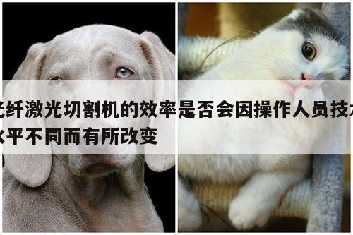 光纤激光切割机的效率是否会因操作人员技术水平不同而有所改变【
