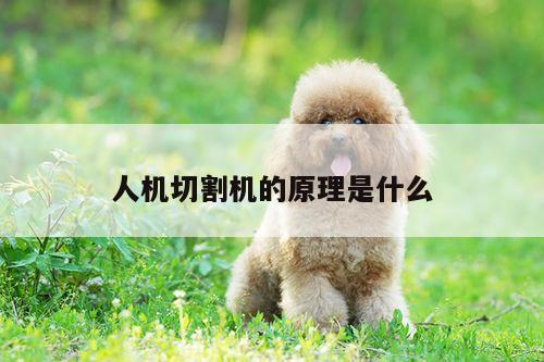 【爱游戏(ayx)官方网站】人机切割机的原理是什么