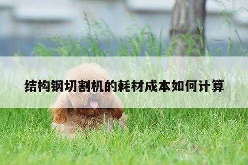 结构钢切割机的耗材成本如何计算：爱游戏app