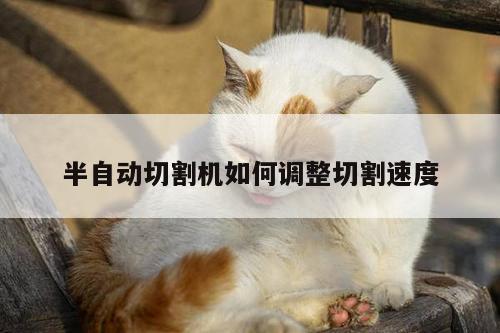 半自动切割机如何调整切割速度-爱游戏(ayx)官方网站