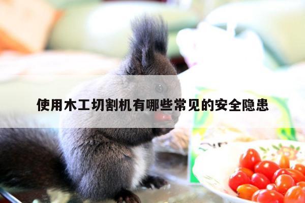 ayx爱游戏|使用木工切割机有哪些常见的安全隐患