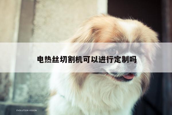 电热丝切割机可以进行定制吗_爱游戏(ayx)官方网站