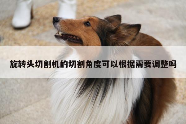 旋转头切割机的切割角度可以根据需要调整吗：爱游戏(ayx)官