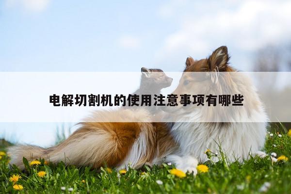 【ayx爱游戏】电解切割机的使用注意事项有哪些