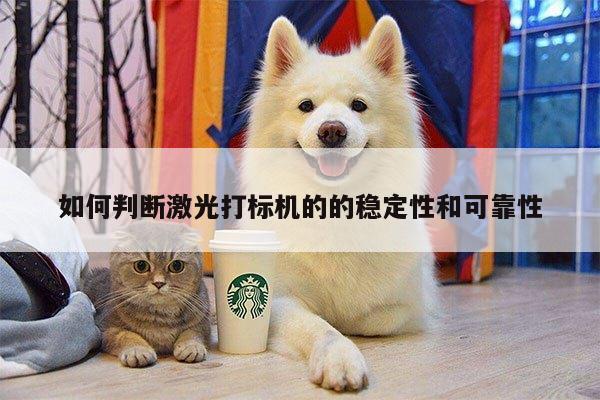 如何判断激光打标机的的稳定性和可靠性|爱游戏app