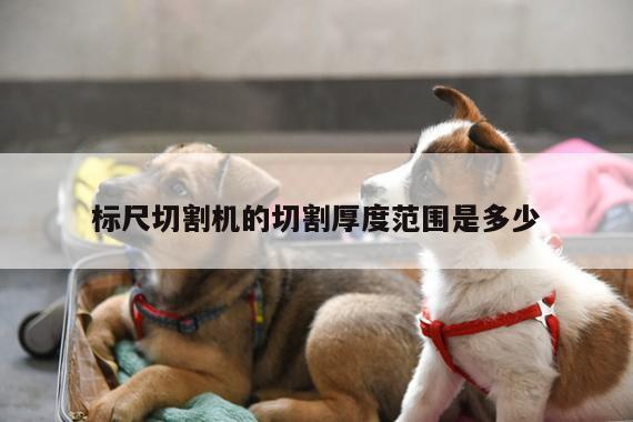 【爱游戏平台】标尺切割机的切割厚度范围是多少