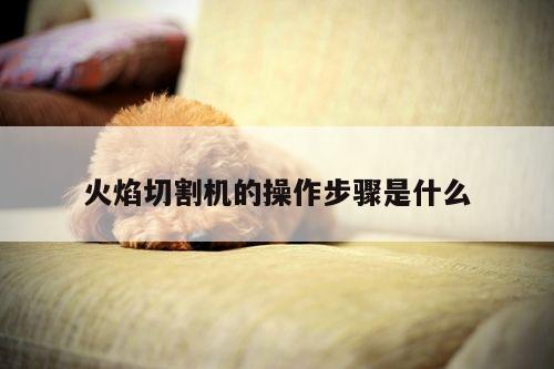 火焰切割机的操作步骤是什么|ayx爱游戏