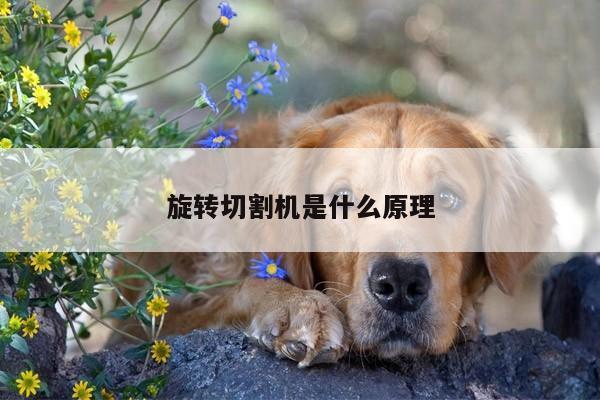旋转切割机是什么原理_爱游戏app