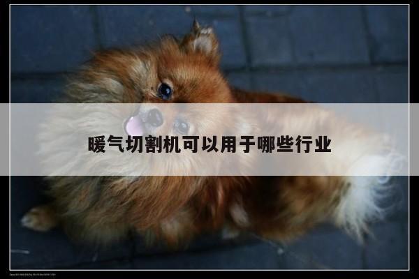 ayx爱游戏：暖气切割机可以用于哪些行业
