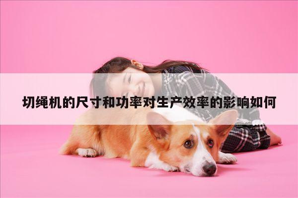 切绳机的尺寸和功率对生产效率的影响如何_爱游戏平台