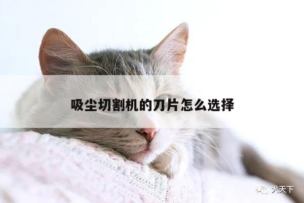 吸尘切割机的刀片怎么选择_爱游戏(ayx)官方网站