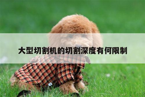 爱游戏(ayx)官方网站|大型切割机的切割深度有何限制