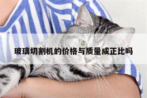 玻璃切割机的价格与质量成正比吗：爱游戏(ayx)官方网站