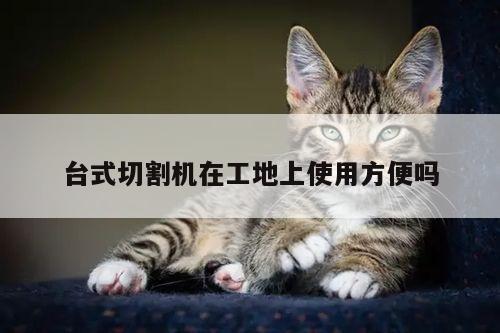 爱游戏(ayx)官方网站_台式切割机在工地上使用方便吗